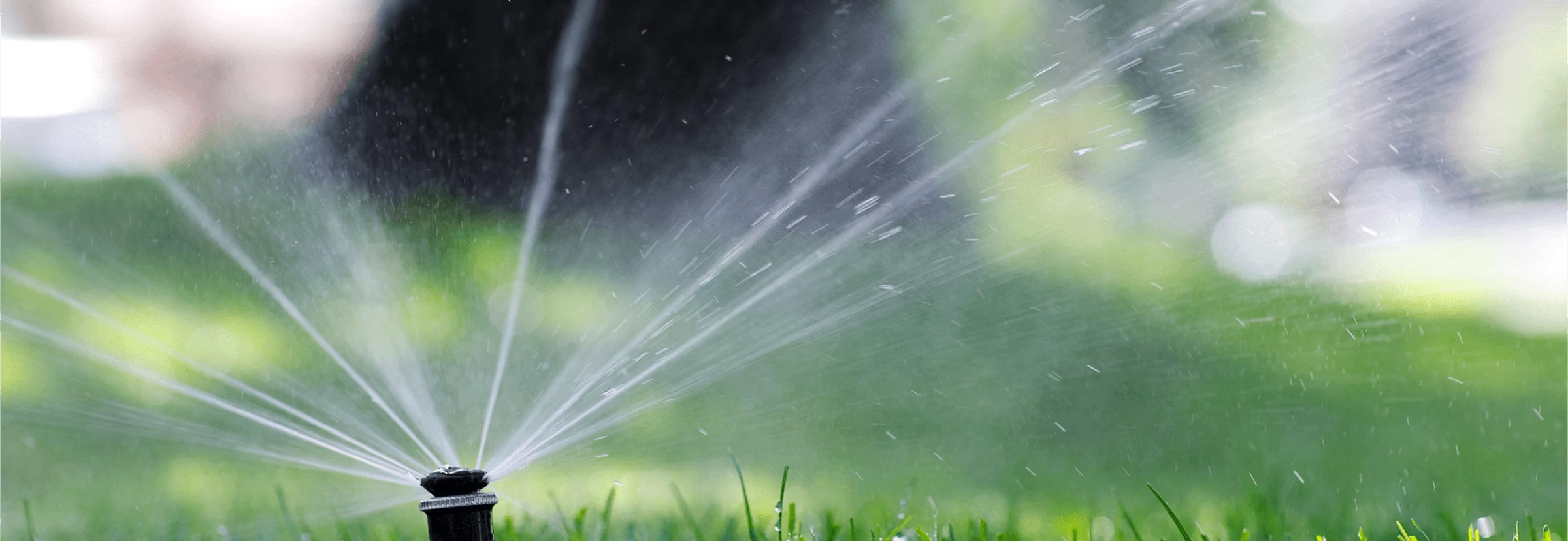 Sprinkler